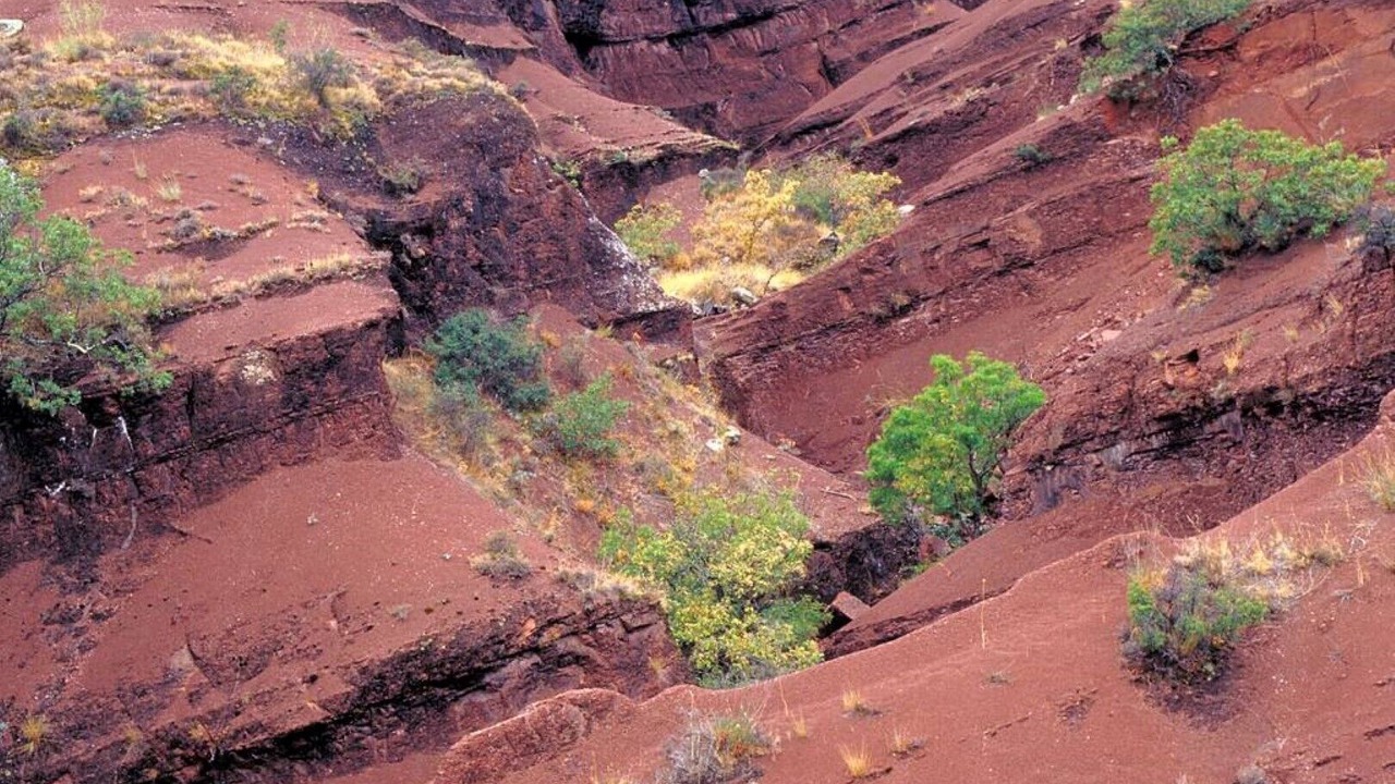 Photo of Outdoor in Carlencas-et-Levas