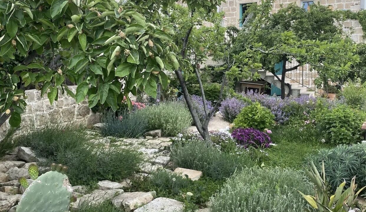 Photo of Outdoor in Mocici