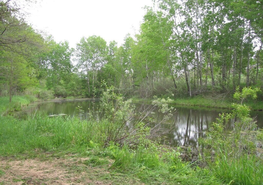 Photo of Outdoor in Chase