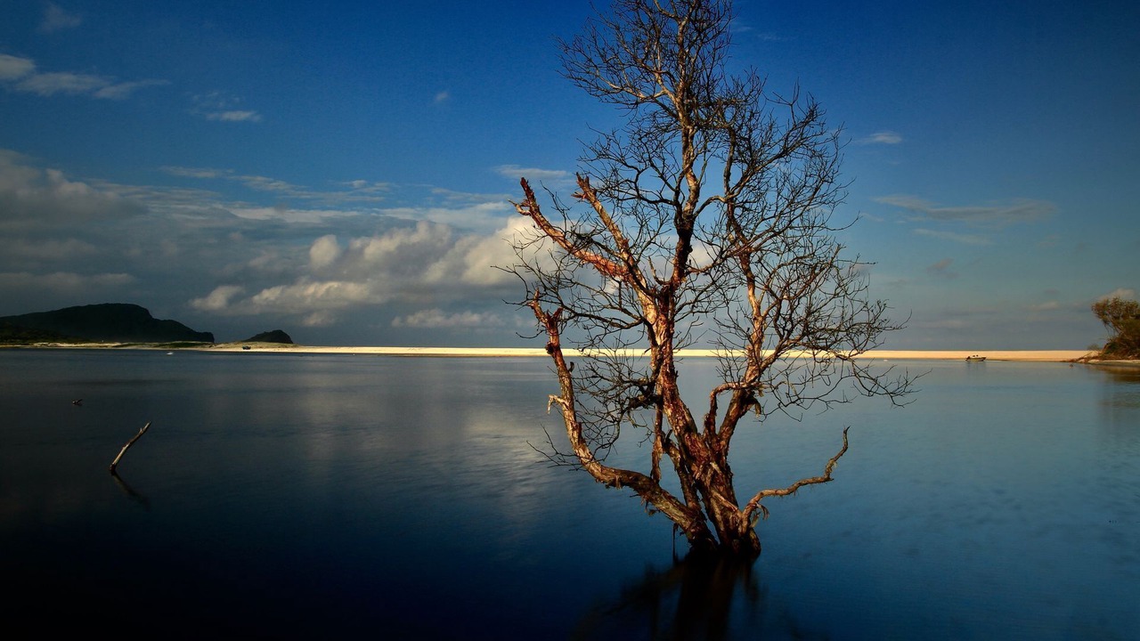 Photo of Others in Smiths Lake