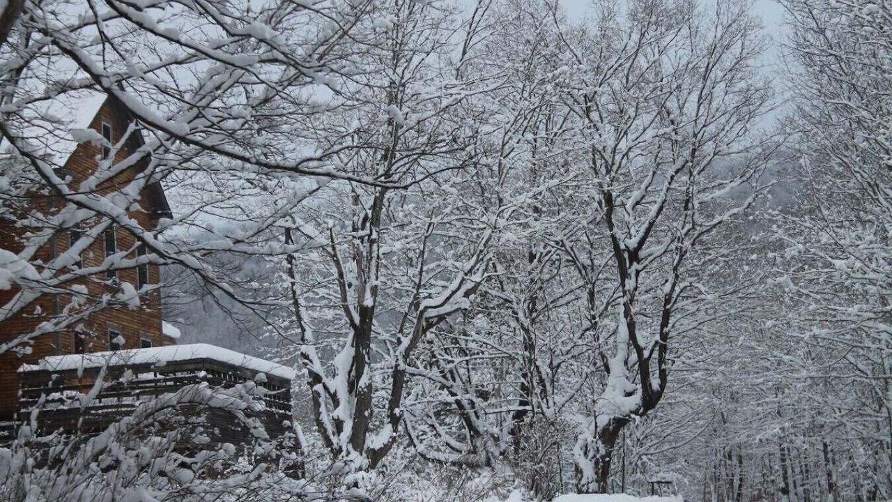 Photo of Others in Pawlet