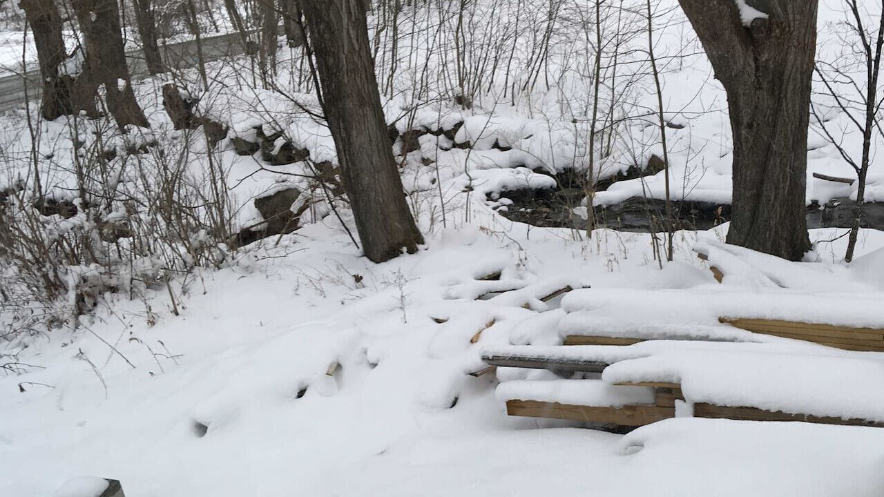 Photo of Others in Pawlet