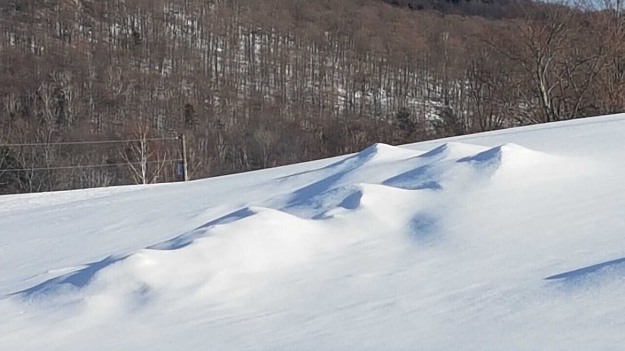 Photo of Others in Pawlet