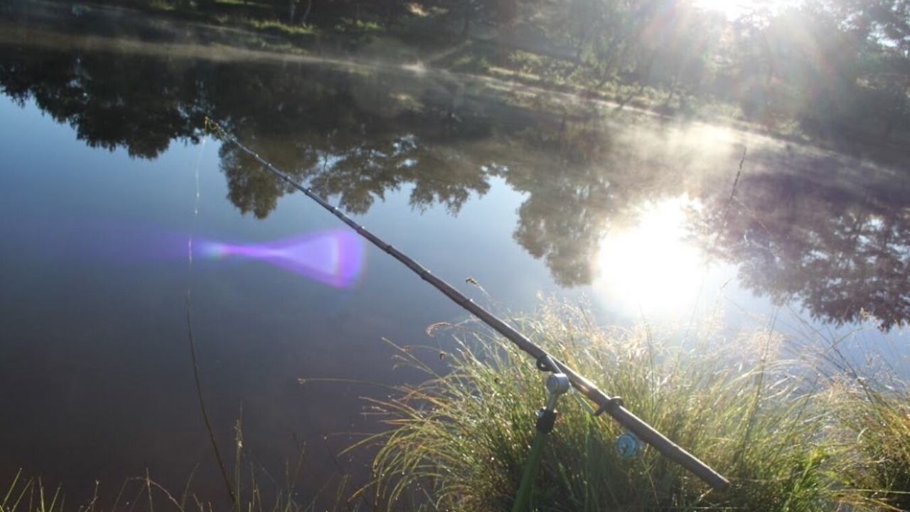 Photo of Outdoor in La Porcherie