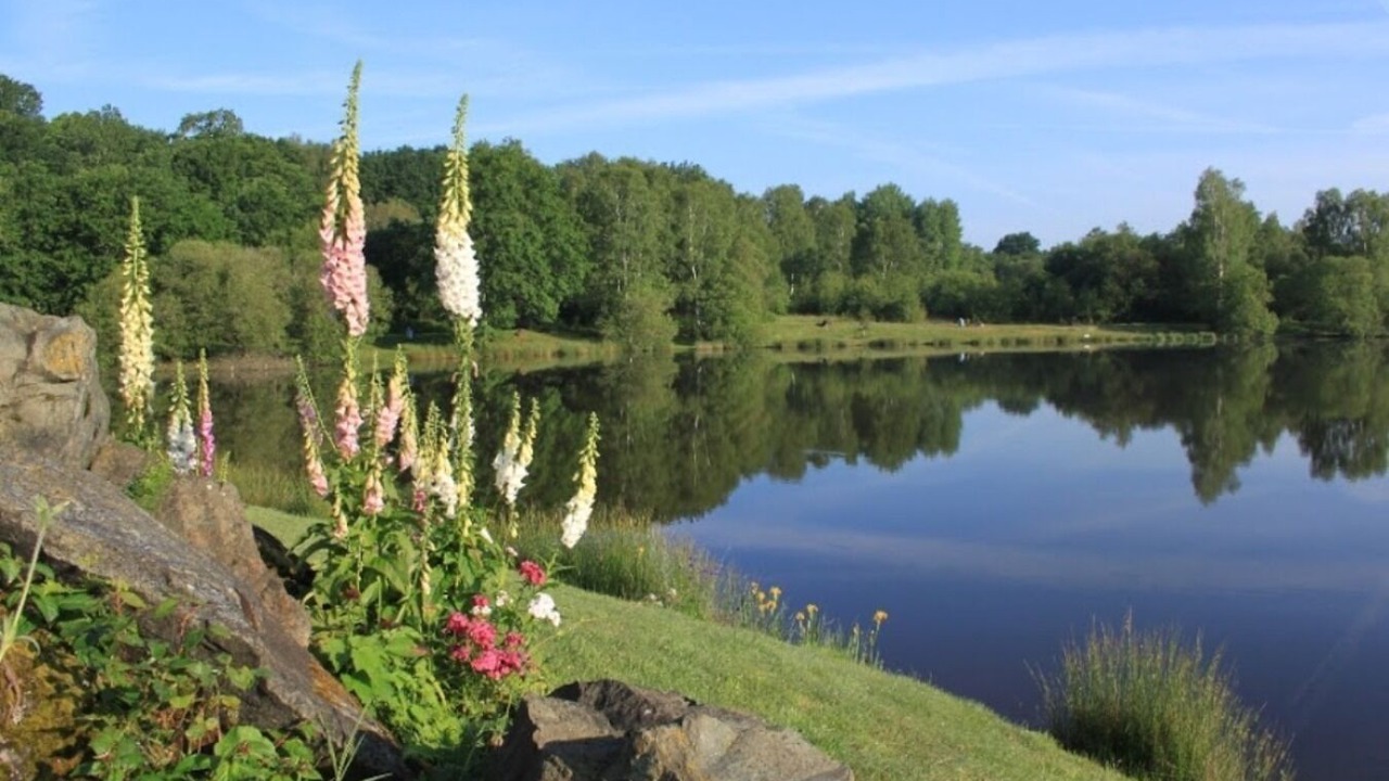 Photo of Outdoor in La Porcherie