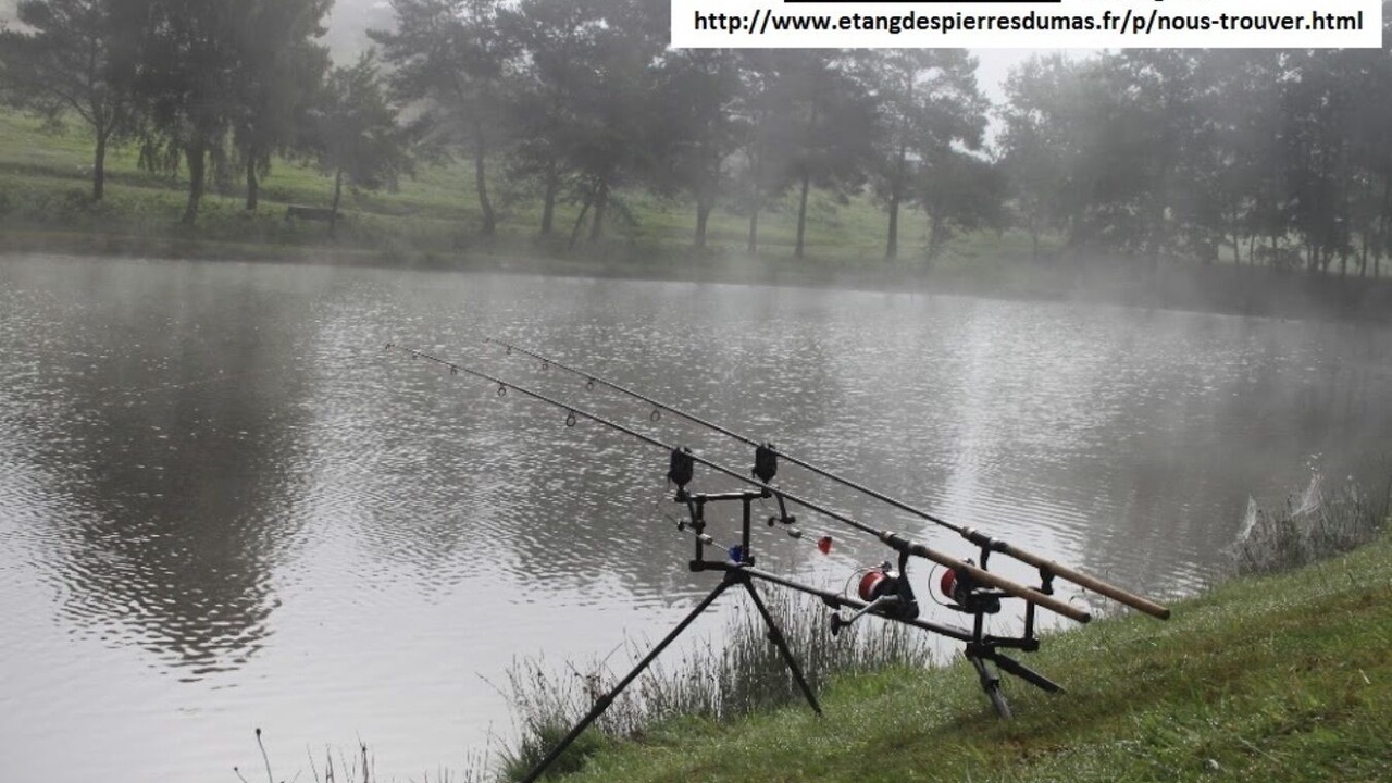 Photo of Outdoor in La Porcherie