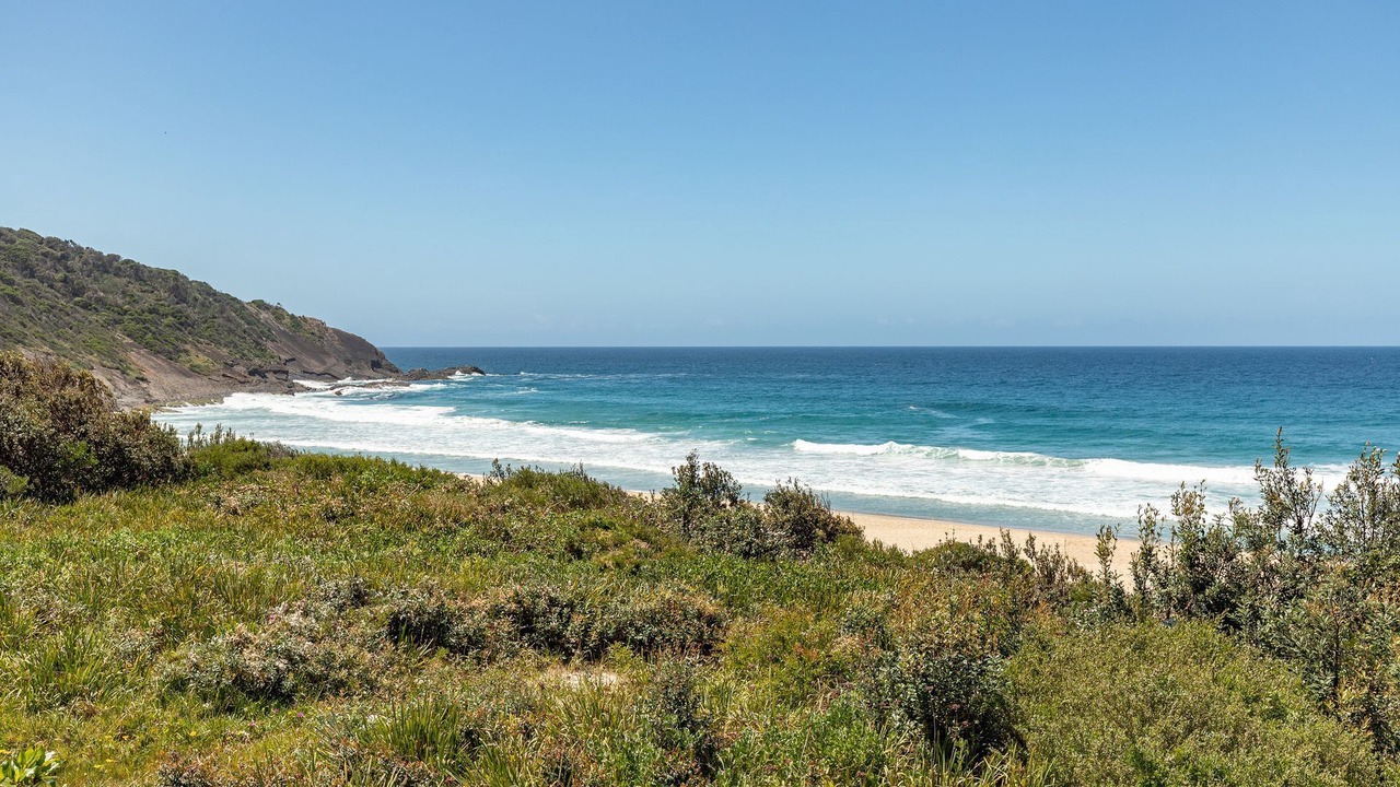 Photo of Others in Blueys Beach