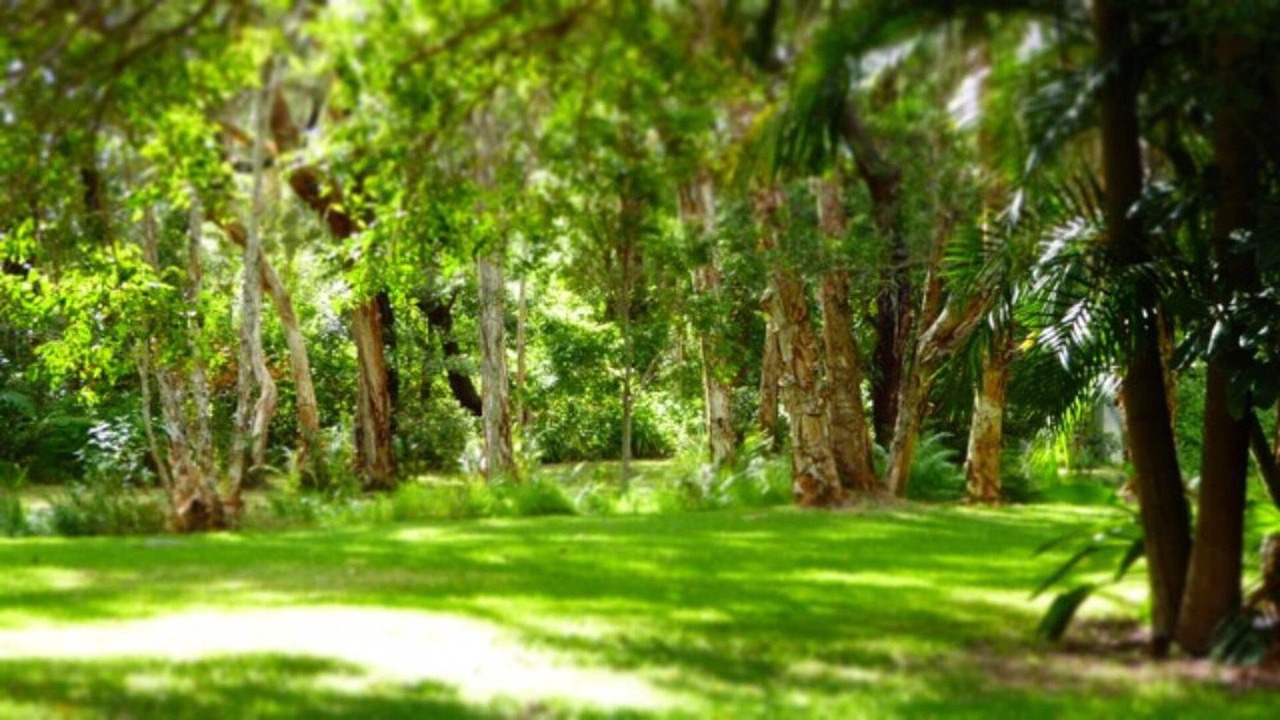 Photo of Outdoor in Boomerang Beach