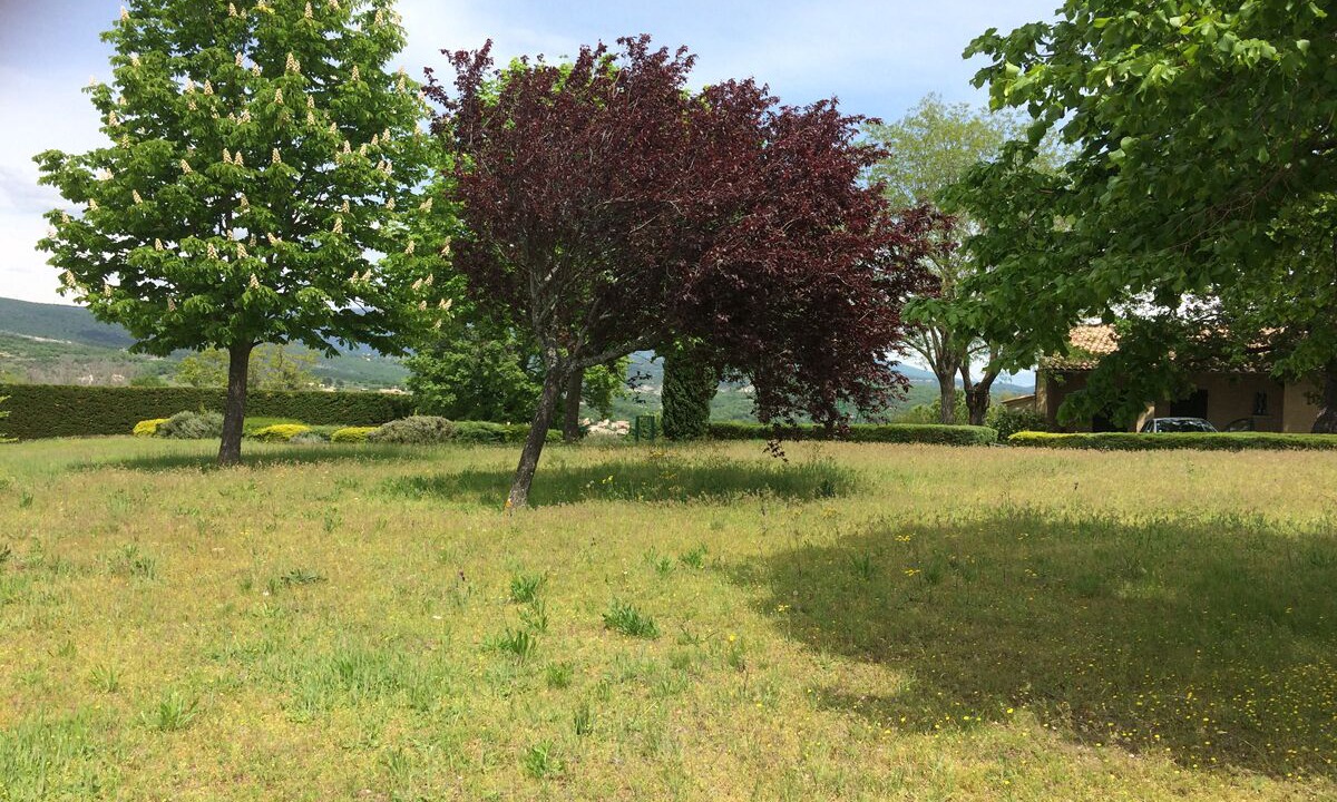 Photo of Outdoor in Forcalquier