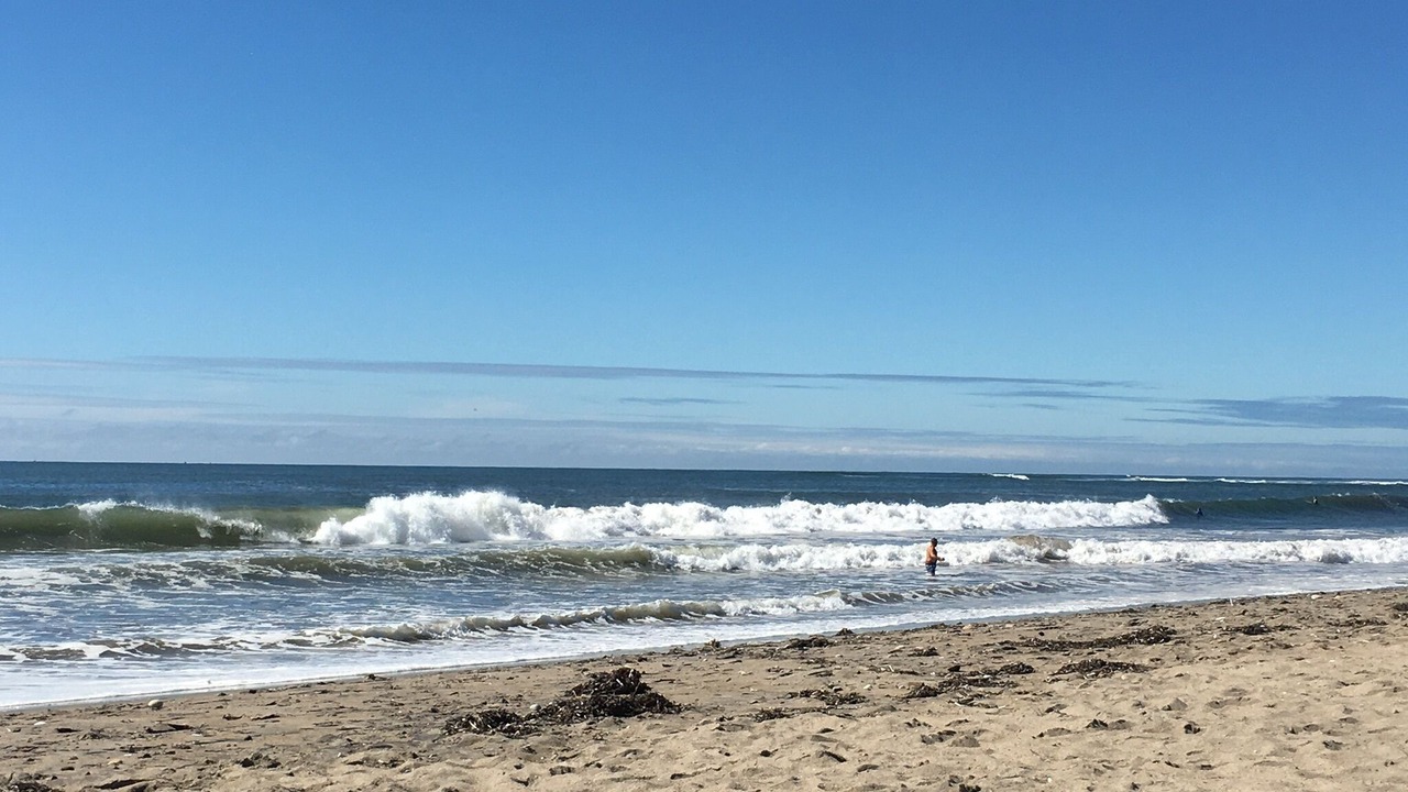 Photo of Others in Snug Harbor