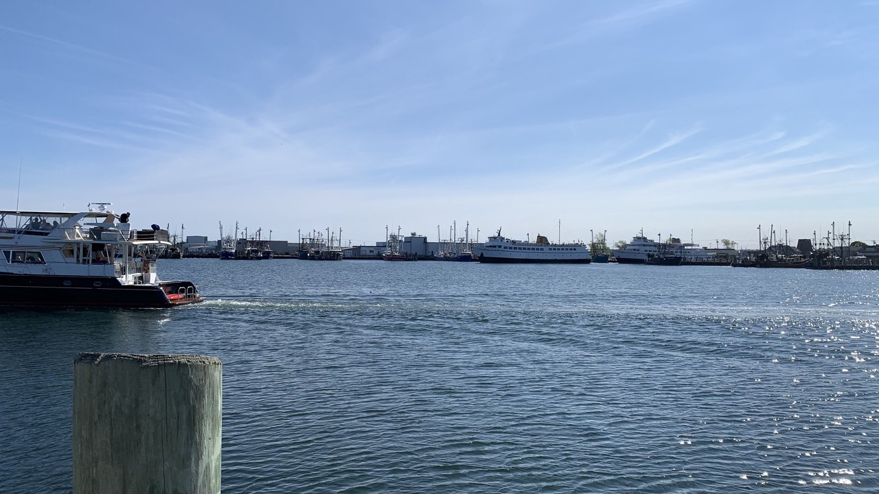 Photo of Others in Snug Harbor