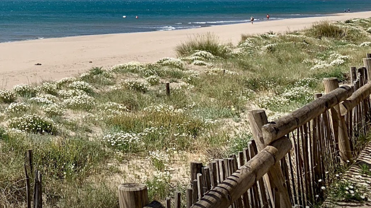 Photo of Others in Valras-Plage