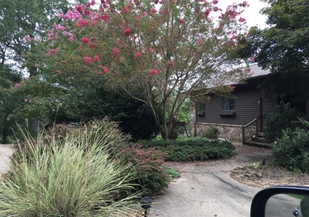 Photo of Outdoor in Henderson