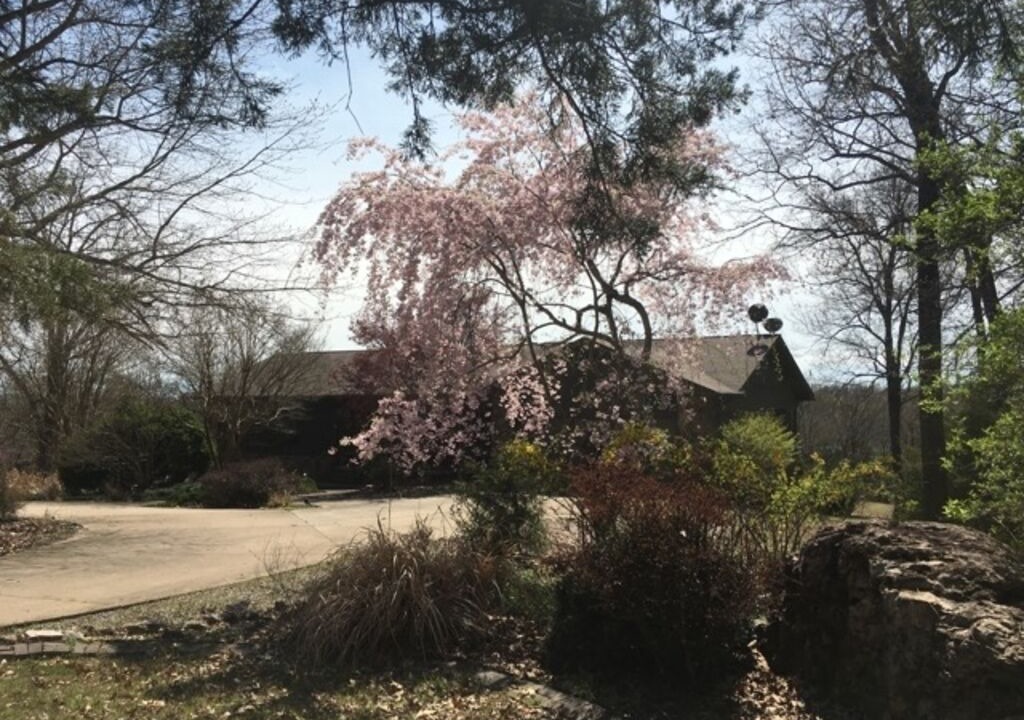 Photo of Outdoor in Henderson
