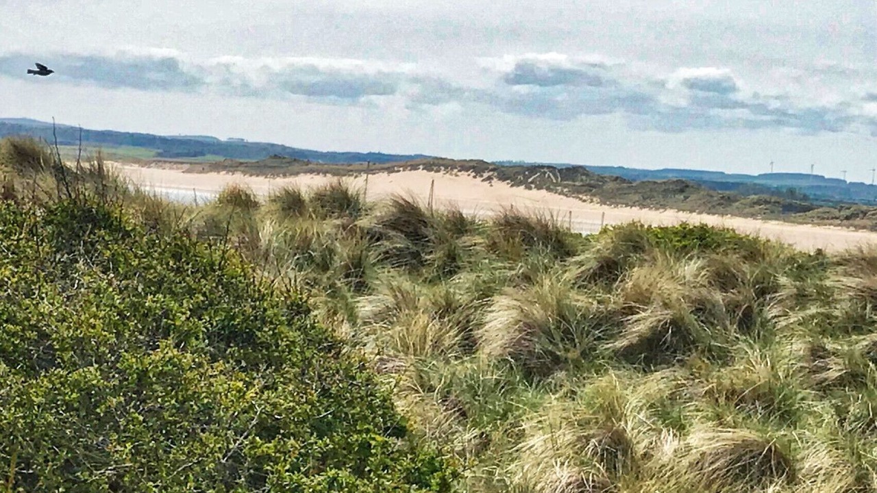 Photo of Others in Beadnell