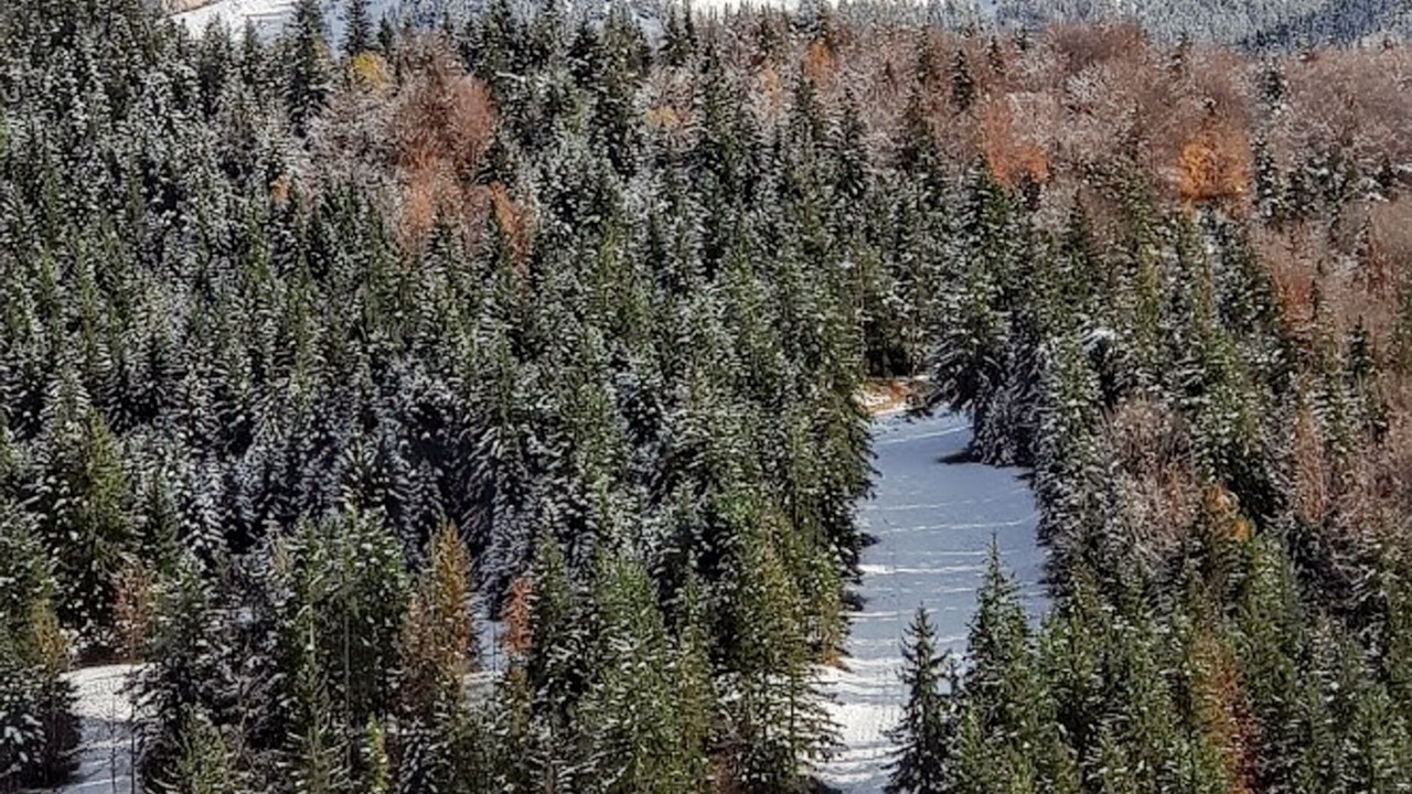 Photo of Others in Villard-de-Lans