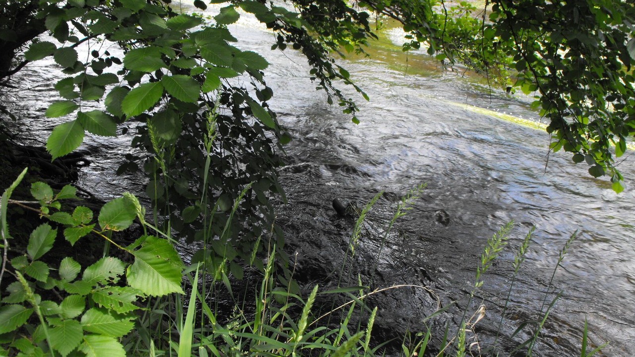 Photo of Outdoor in Argenton-sur-Creuse