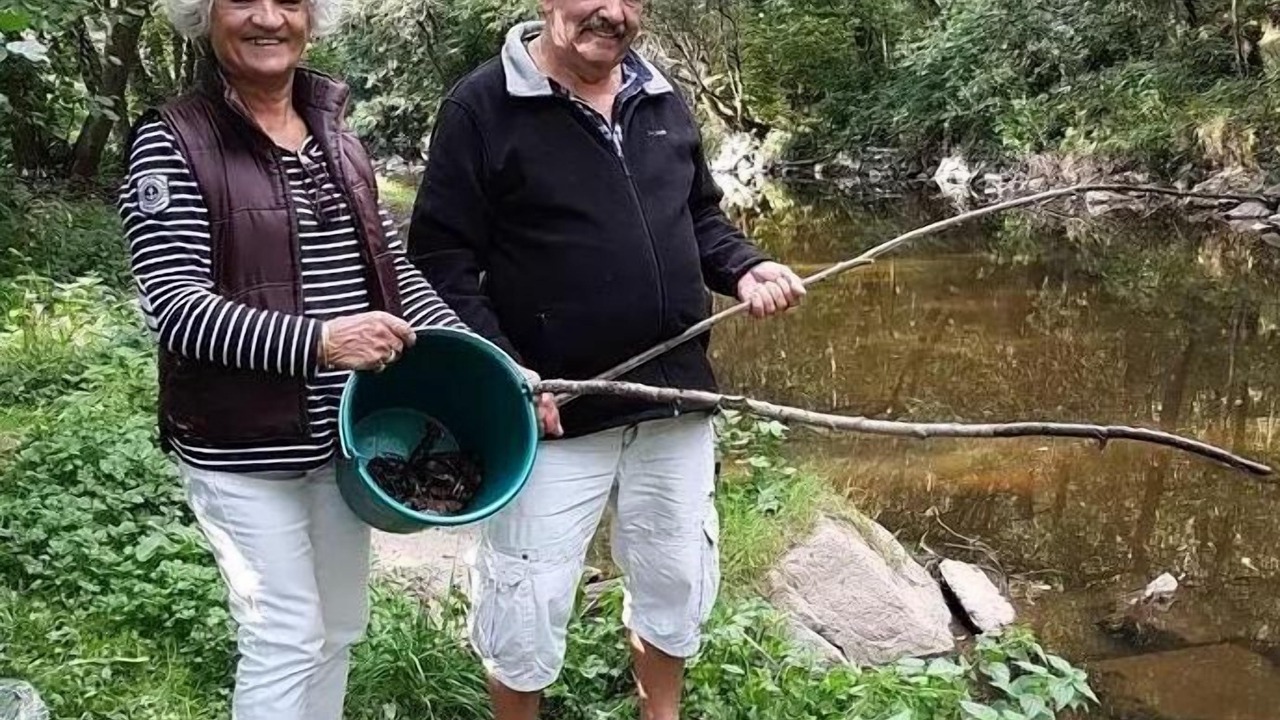 Photo of Others in Saint-Paulien