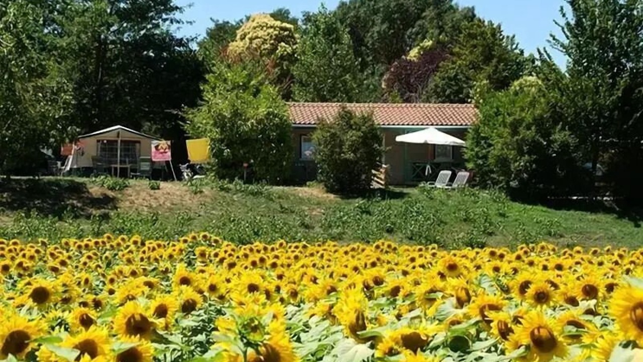 Photo of Outdoor in La Romieu