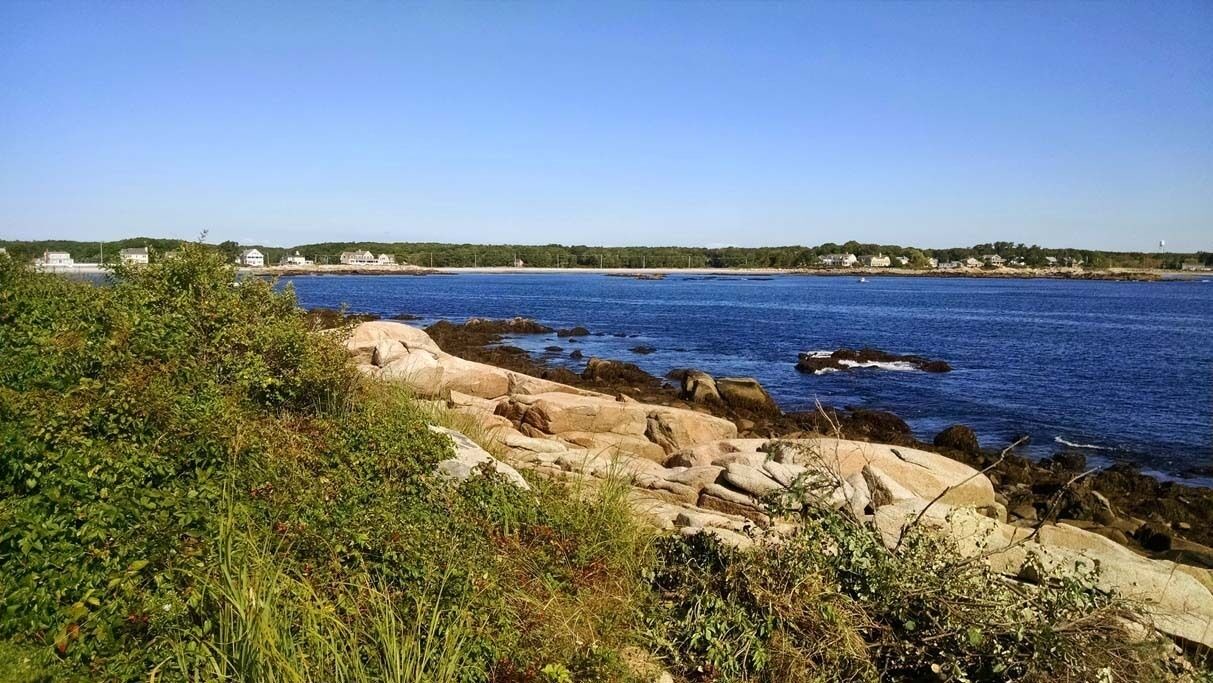 Photo of Others in Biddeford