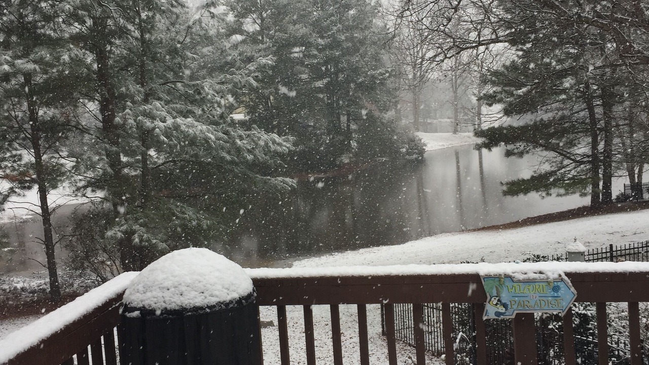 Photo of Outdoor in Raleigh