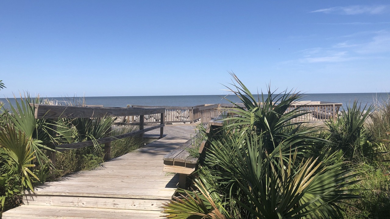 Photo of Outdoor in Jekyll Island