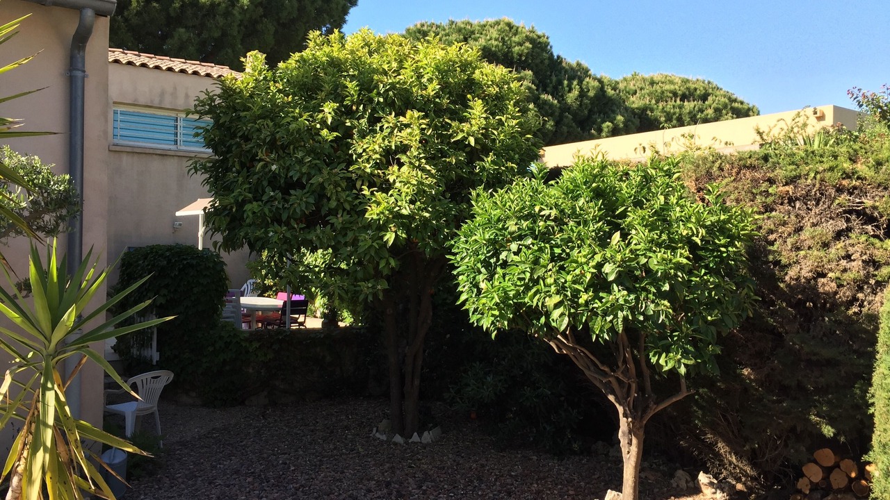 Photo of Outdoor in La Grande-Motte