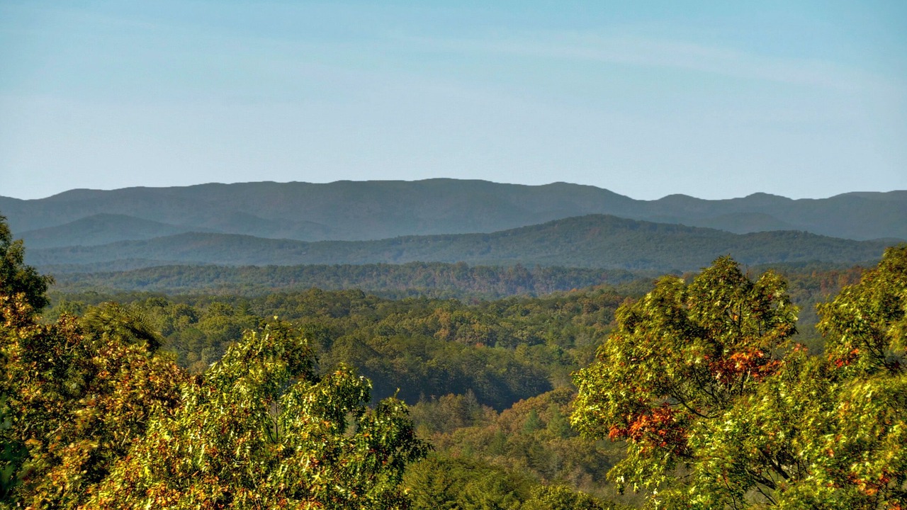 Photo of Others in Morganton