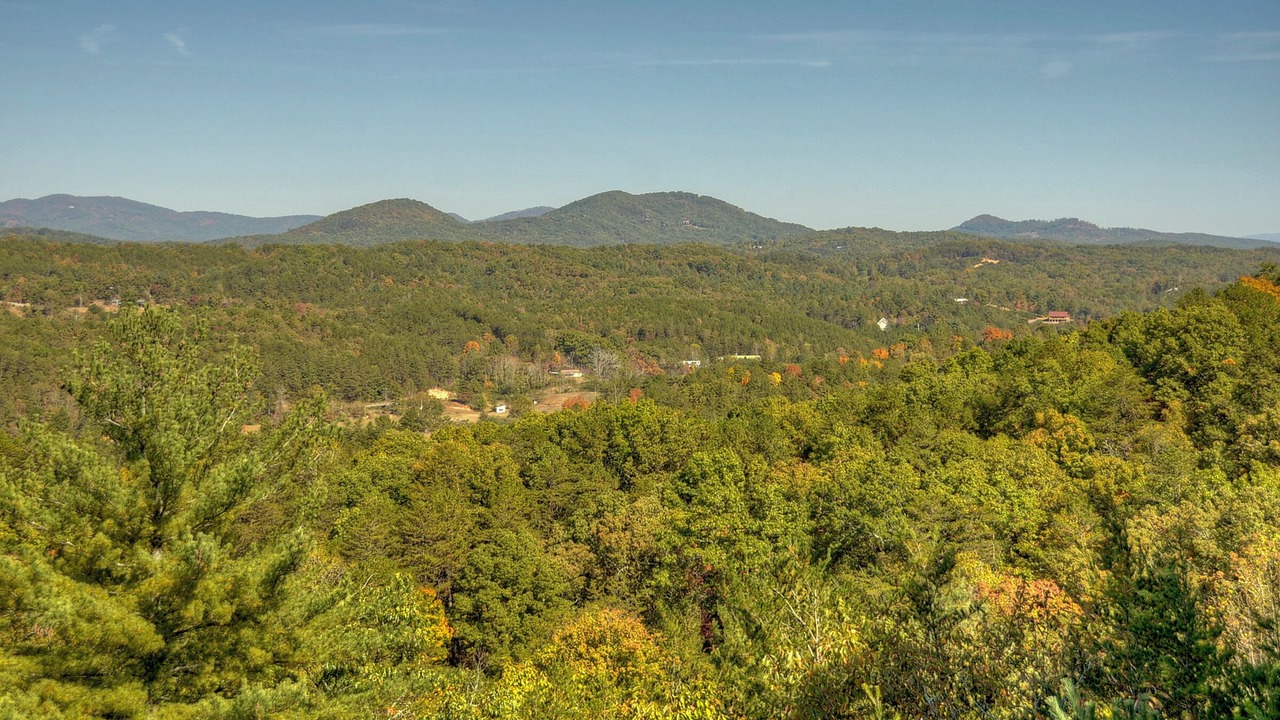 Photo of Others in Morganton