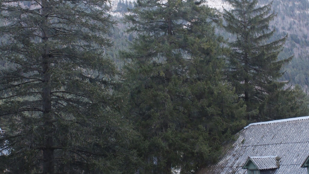 Photo of Outdoor in Canfranc-Estacion