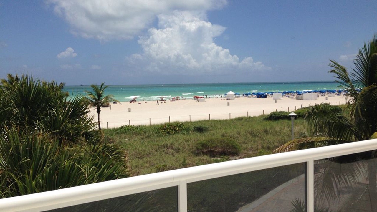 Photo of Others in South Beach
