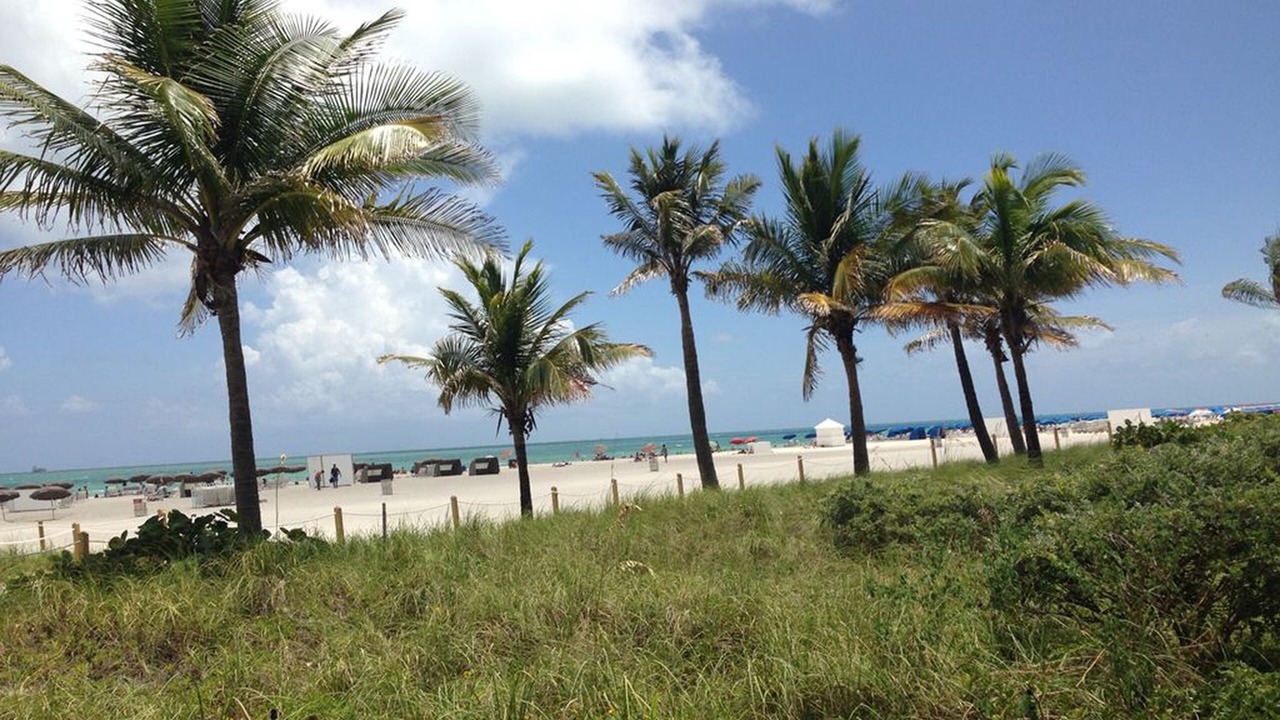 Photo of Others in South Beach