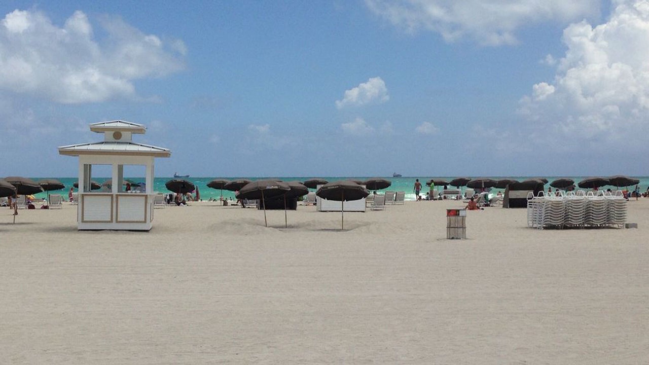 Photo of Others in South Beach