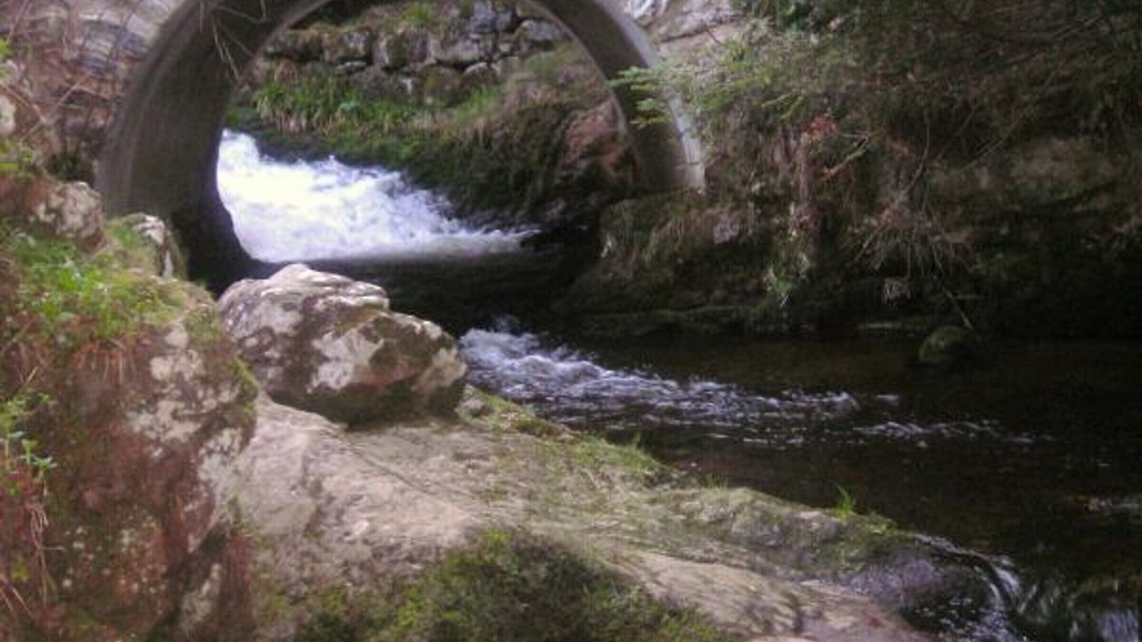 Photo of Outdoor in Sauvain