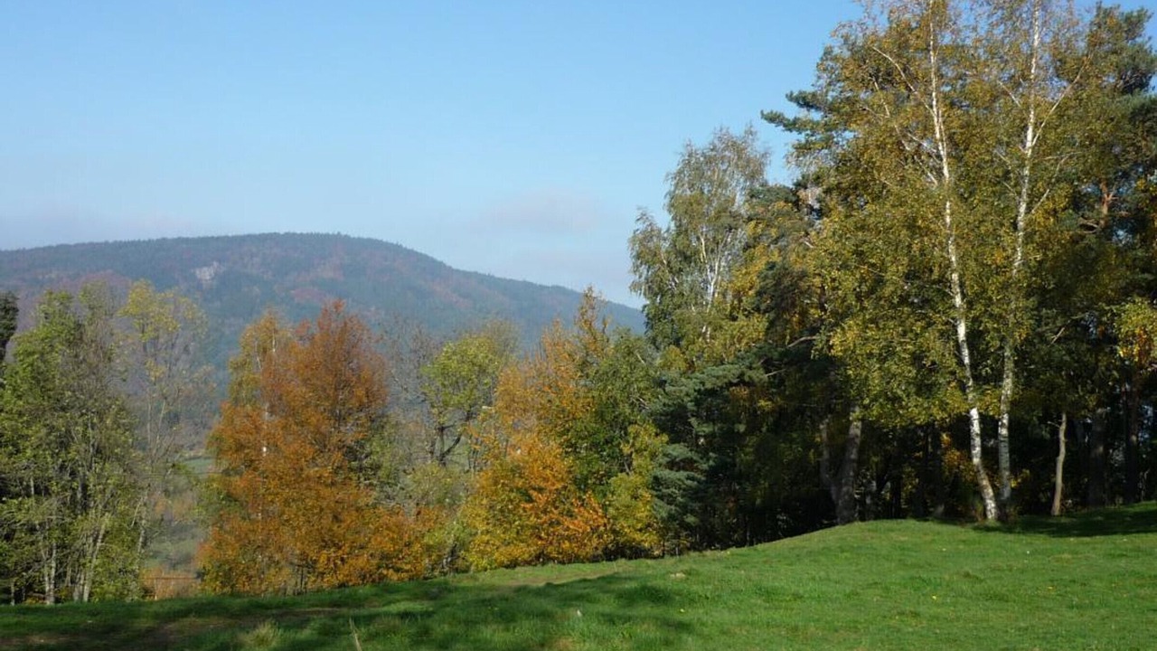 Photo of Outdoor in Sauvain