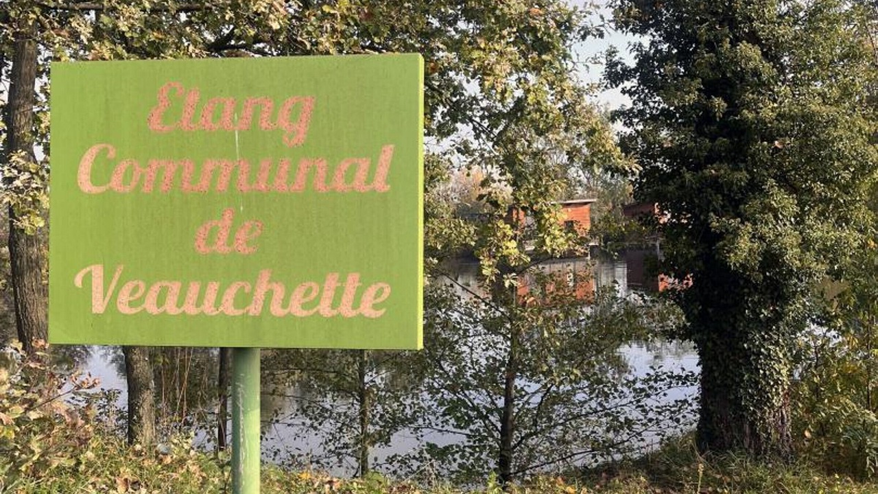 Photo of Outdoor in Veauchette