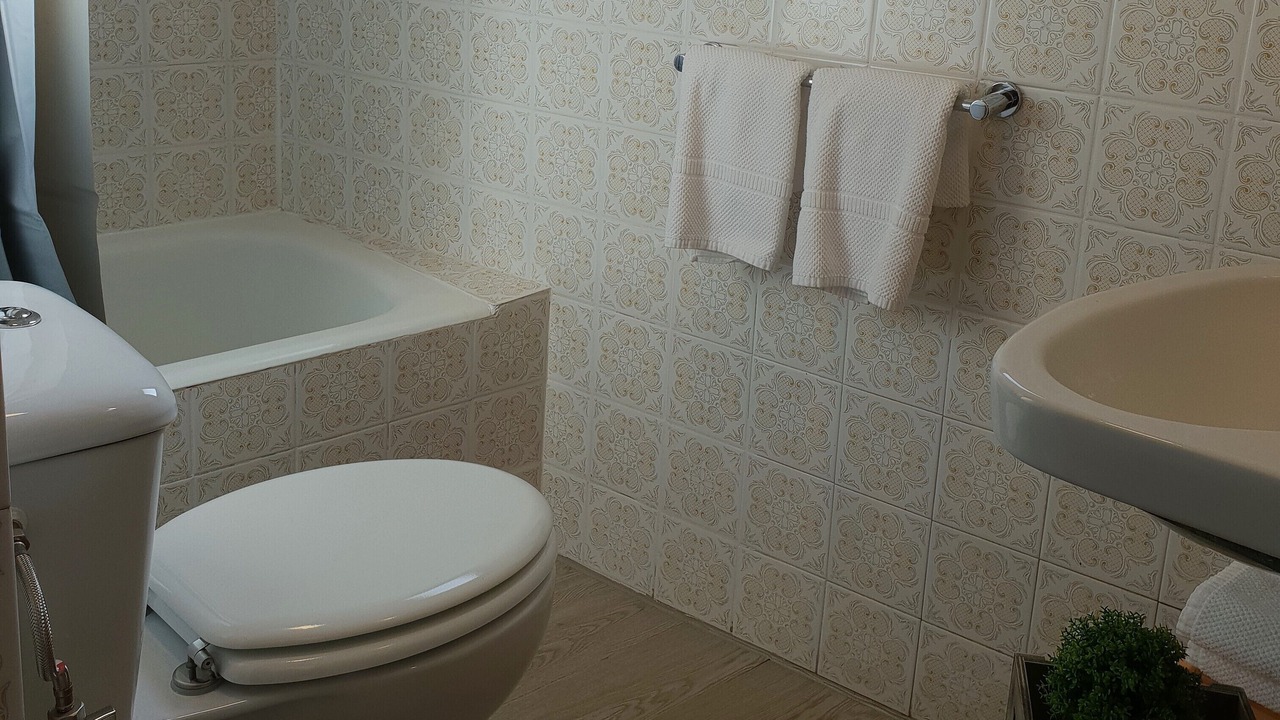 Photo of Bathroom in Castellar de N'hug