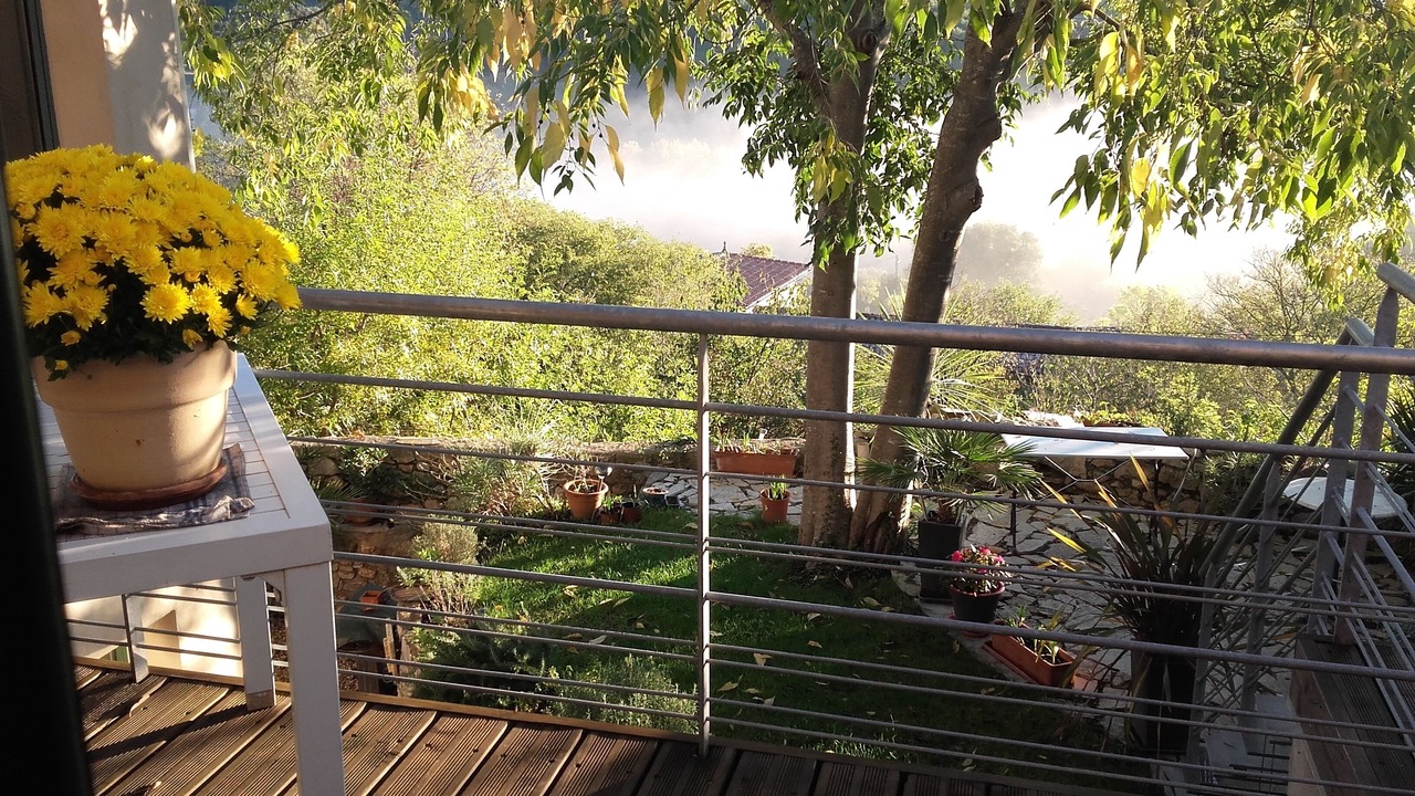 Photo of Outdoor in Brissac