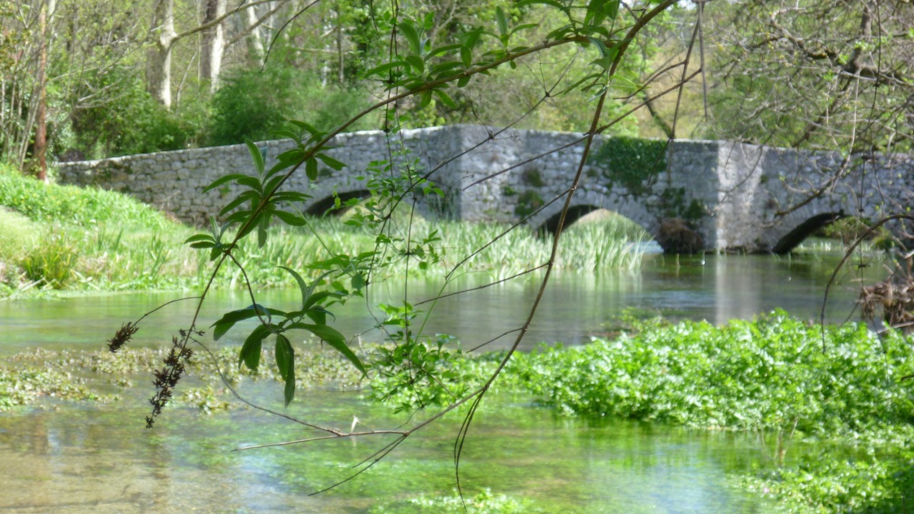 Photo of Outdoor in Brissac
