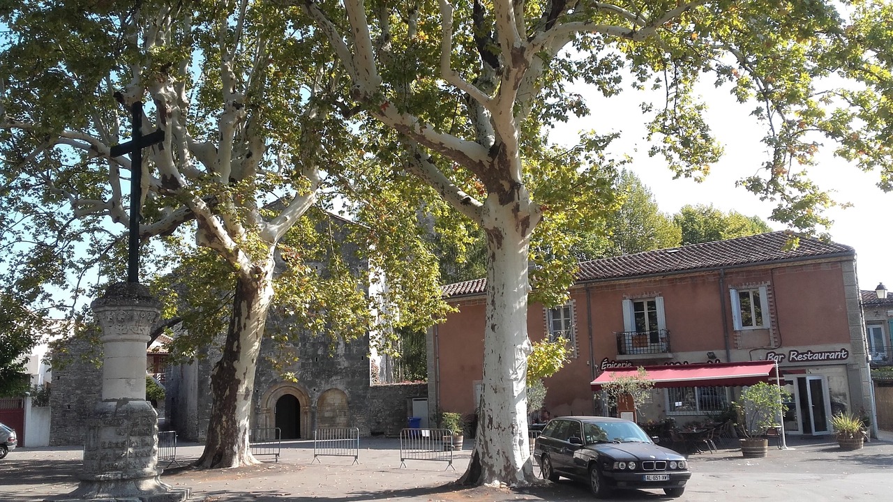 Photo of Outdoor in Brissac