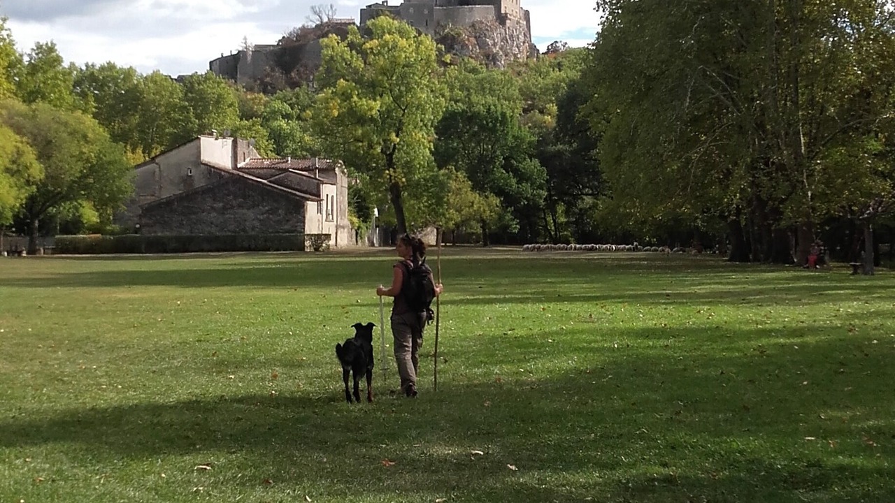 Photo of Others in Brissac