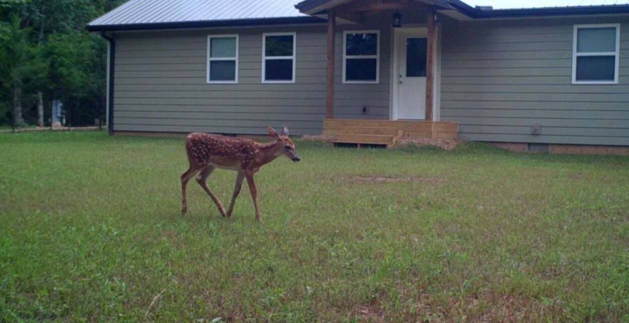 Photo of Others in Hartville