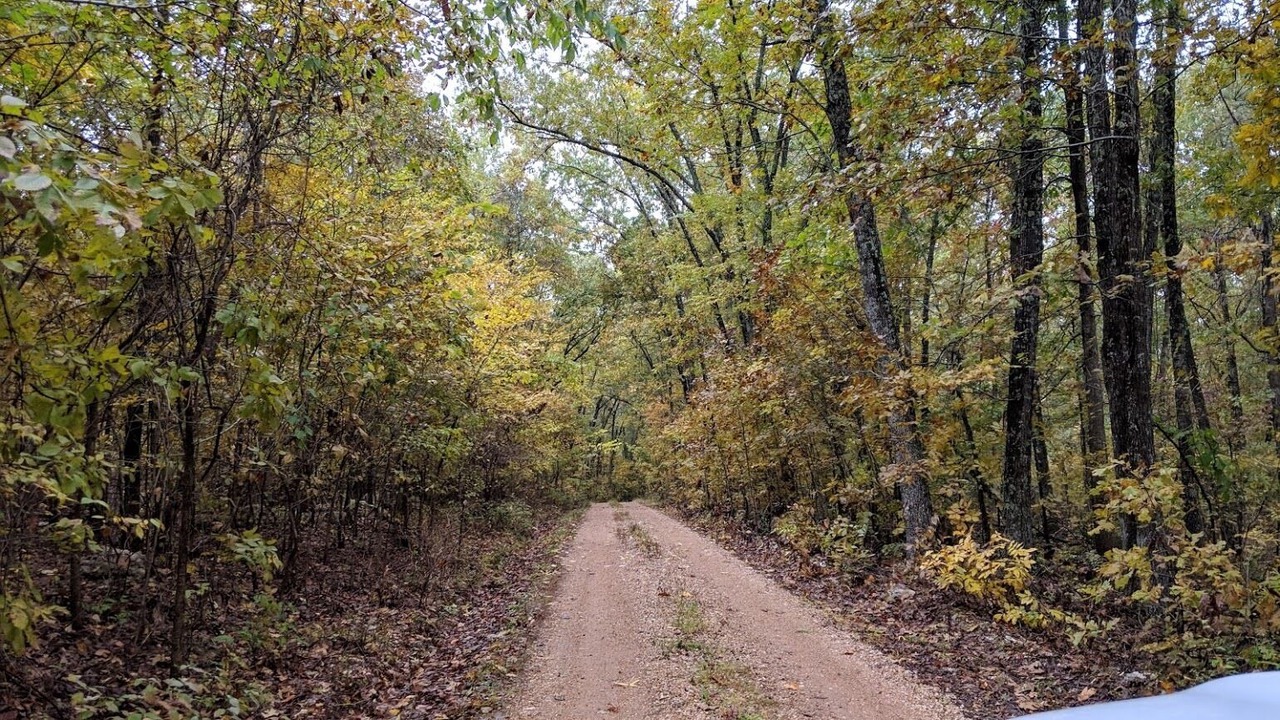 Photo of Outdoor in Hartville