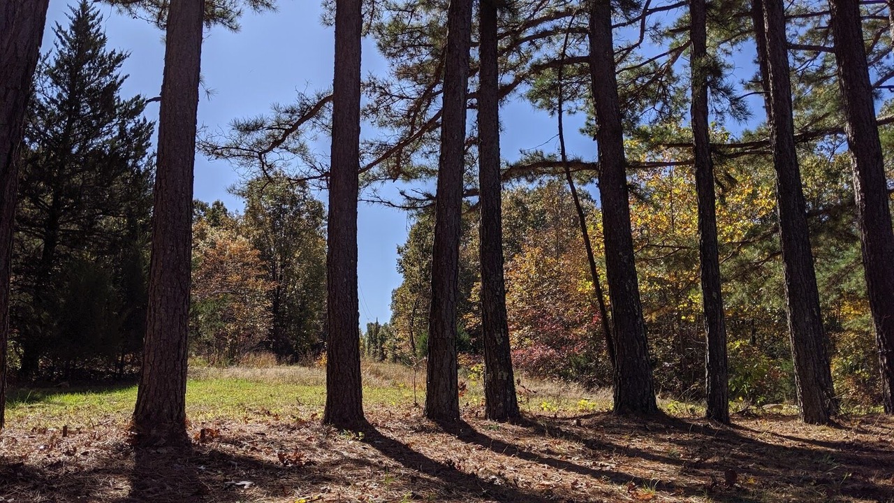 Photo of Outdoor in Hartville