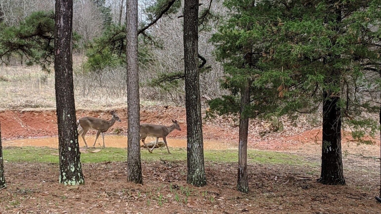 Photo of Others in Hartville