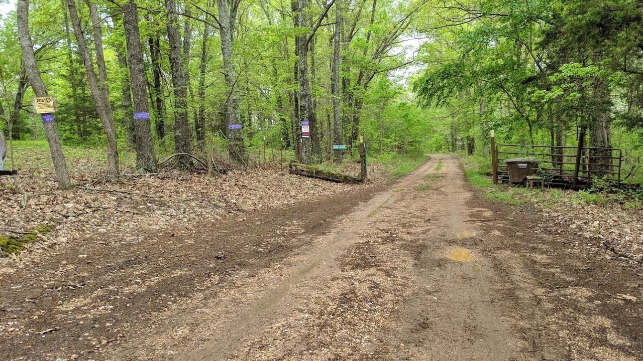 Photo of Others in Hartville
