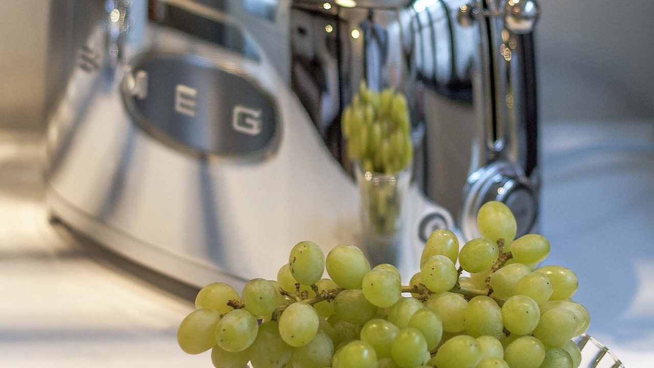 Photo of Others in Saint-Pol-de-Leon