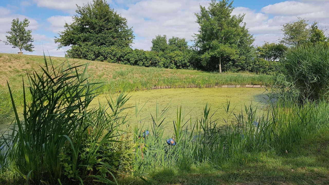 Photo of Others in Rudbøl