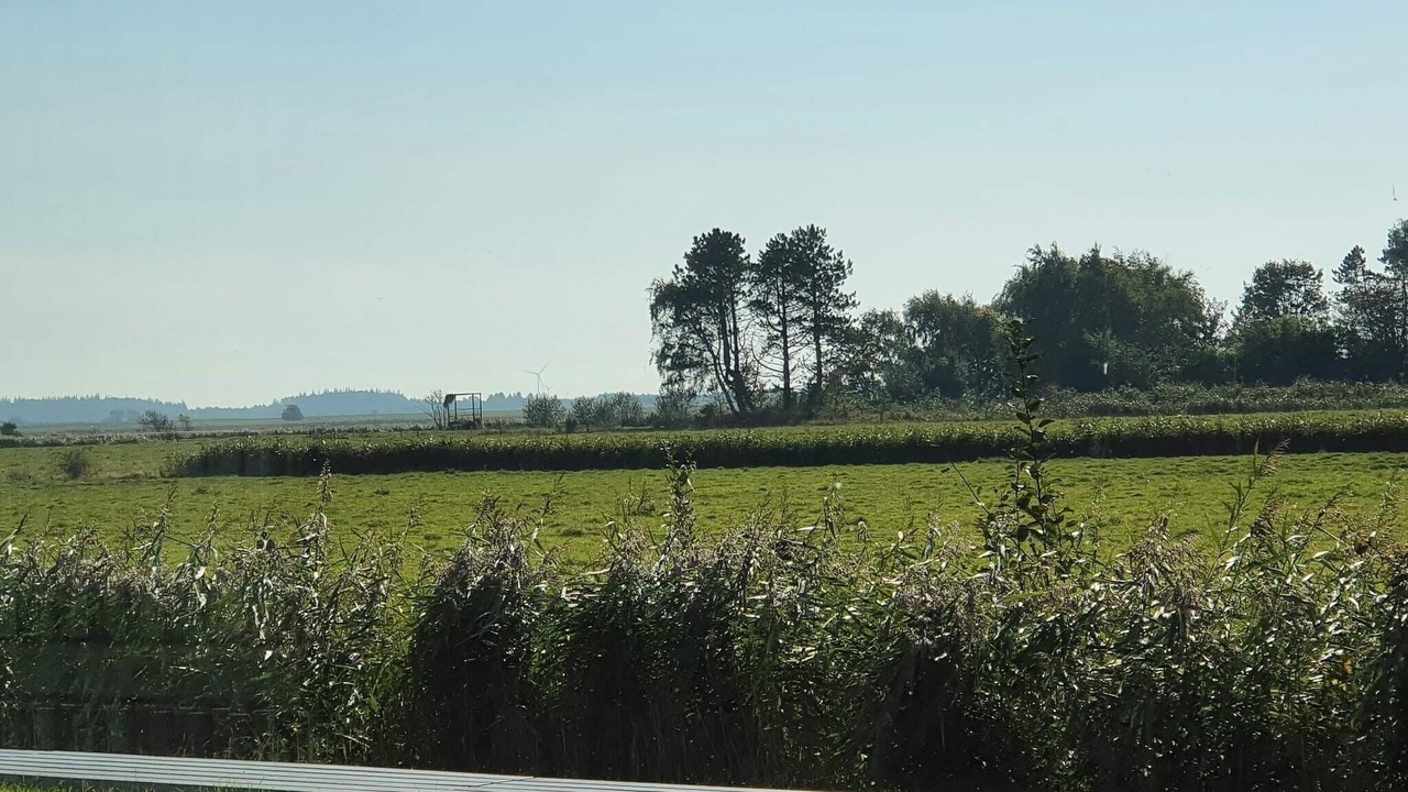 Photo of Others in Rudbøl