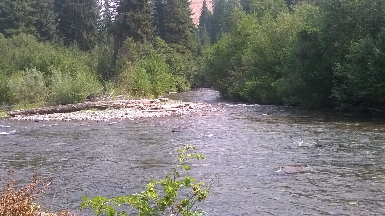 Photo of Others in Wallowa County